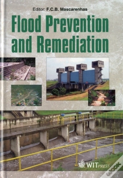 Capa do artigo Flood Prevention And Remediation