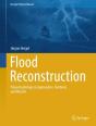 Flood Reconstruction - Preview