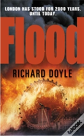 Capa do artigo Flood