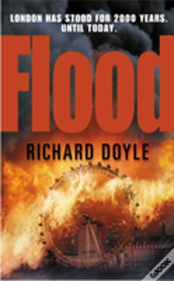 Capa do artigo Flood