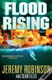 Capa do artigo Flood Rising