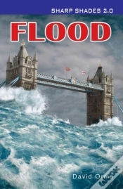 Capa do artigo Flood  (Sharp Shades)
