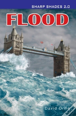 Capa do artigo Flood  (Sharp Shades)