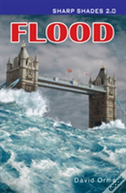 Capa do artigo Flood  (Sharp Shades)