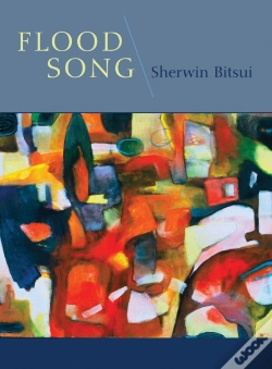 Capa do artigo Flood Song