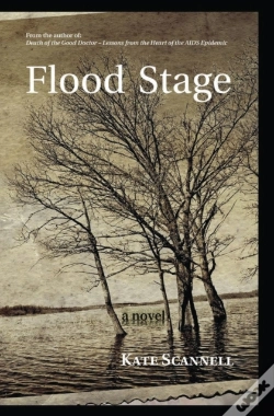 Capa do artigo Flood Stage -- A Novel