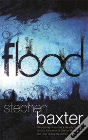 Capa do artigo Flood