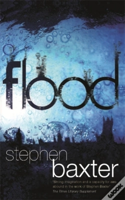 Capa do artigo Flood