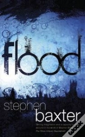 Capa do artigo Flood