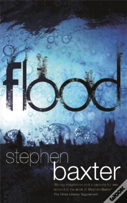 Capa do artigo Flood