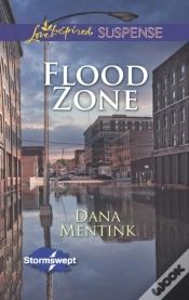 Capa do artigo Flood Zone