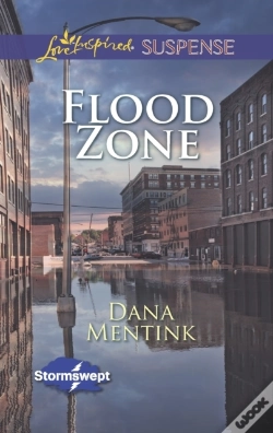 Capa do artigo Flood Zone