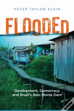 Capa do artigo Flooded