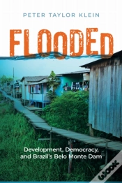 Capa do artigo Flooded