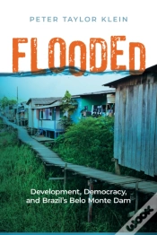 Capa do artigo Flooded