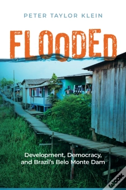 Capa do artigo Flooded