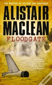 Capa do artigo Floodgate