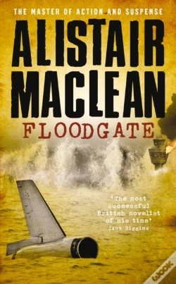Capa do artigo Floodgate