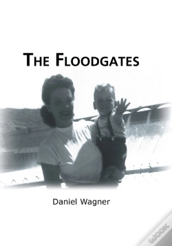 Capa do artigo Floodgates