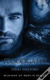 Capa do artigo Floodgates