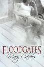 Floodgates - Preview