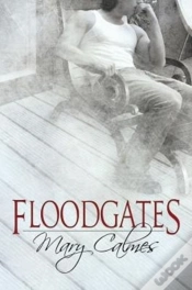Capa do artigo Floodgates