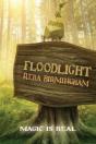 Floodlight - Preview