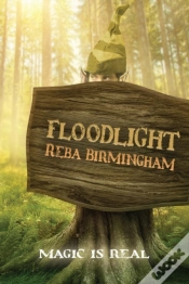 Capa do artigo Floodlight