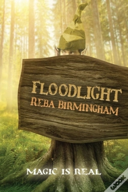 Capa do artigo Floodlight