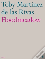 Capa do artigo Floodmeadow