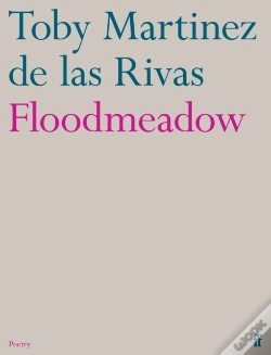 Capa do artigo Floodmeadow