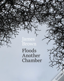 Capa do artigo Floods Another Chamber