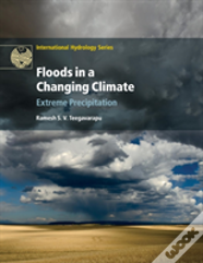 Floods In A Changing Climate