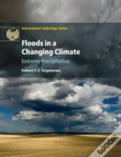 Capa do artigo Floods In A Changing Climate