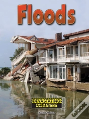 Capa do artigo Floods