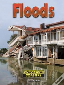 Capa do artigo Floods