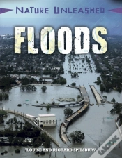 Capa do artigo Floods
