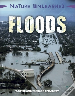 Capa do artigo Floods