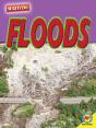 Floods - Preview