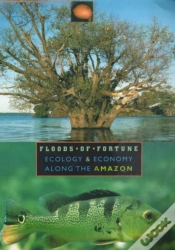 Capa do artigo Floods Of Fortune