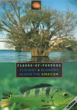 Capa do artigo Floods Of Fortune