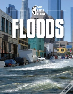 Capa do artigo Floods