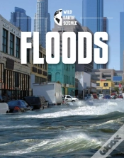 Capa do artigo Floods