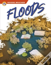 Capa do artigo Floods
