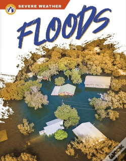 Capa do artigo Floods