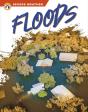 Floods - Preview