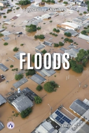Capa do artigo Floods