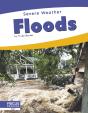 Floods - Preview