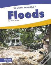 Capa do artigo Floods