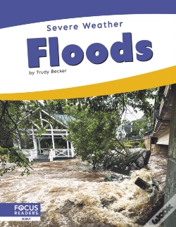 Capa do artigo Floods